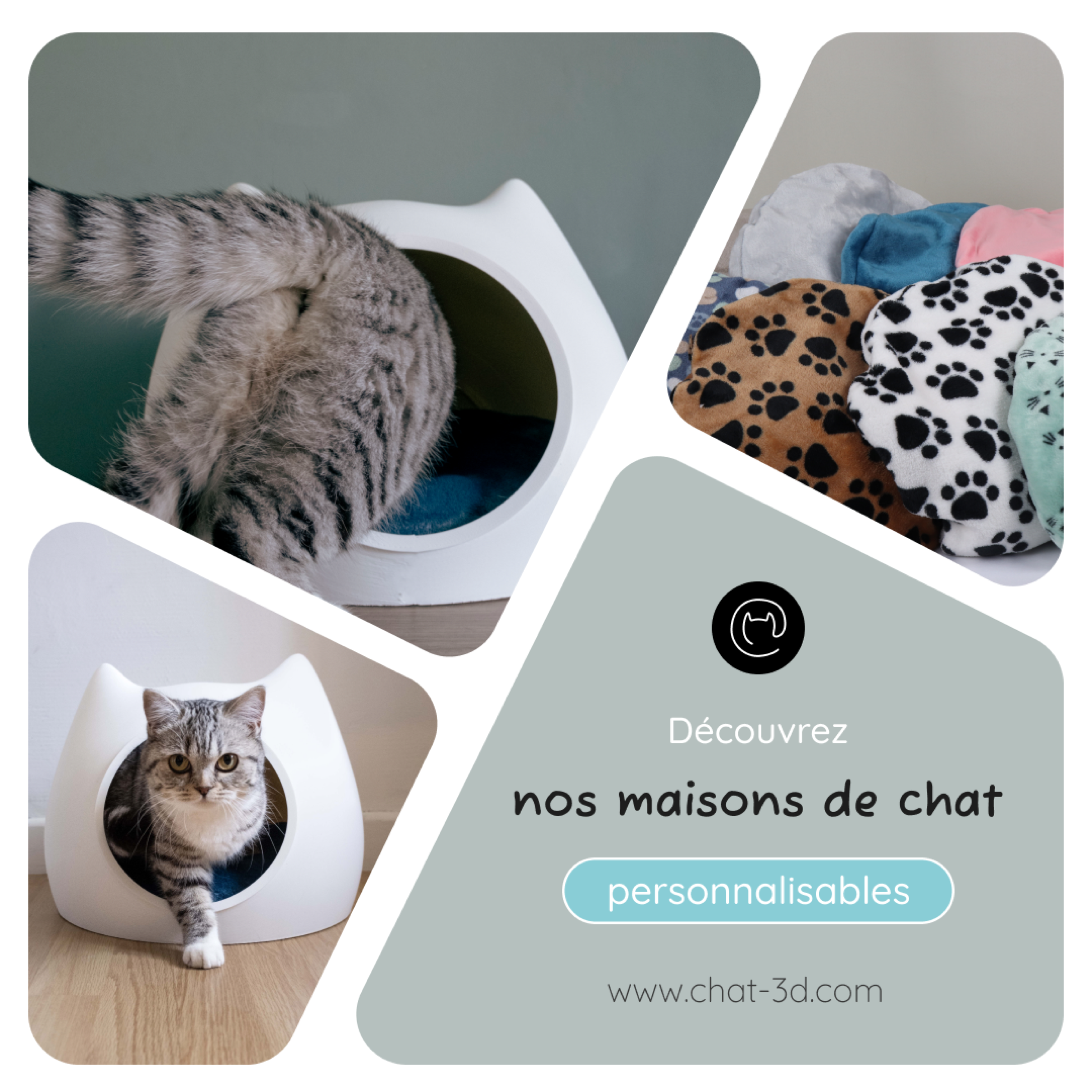 Création pour les réseaux sociaux Chat-3D